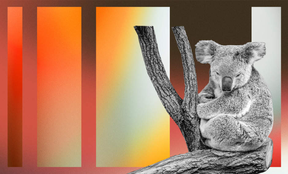 Out of the ashes NEW HEADERS_FOR SUNDAY_Header